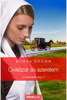 Gyalázat és szerelem (e-könyv)
