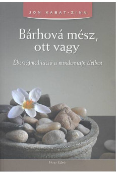Bárhová mész, ott vagy /Éberségmeditáció a mindennapi életben