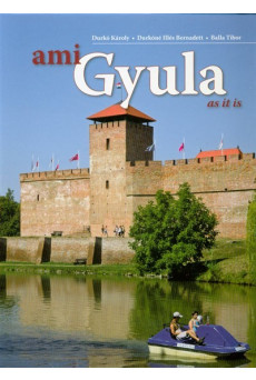 AMI GYULA (2 FÉLE BORÍTÓVAL)