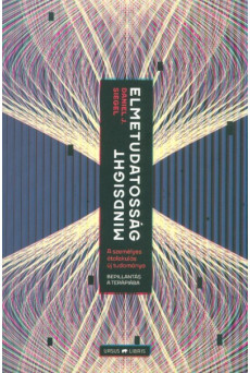 Mindsight - Elmetudatosság /A személyes átalakulás új tudománya - Bepillantás a terápiába