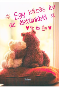 Te és Én - Egy közös év az életünkből (macis borító)