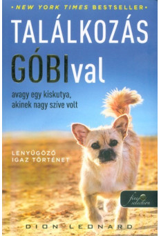 Találkozás Góbival, avagy egy kiskutya, akinek nagy szíve volt