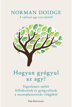 Hogyan gyógyul az agy? - Figyelemre méltó felfedezések és gyógyulások a neuroplaszticitás világából