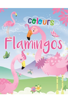 Flamingo - Colours