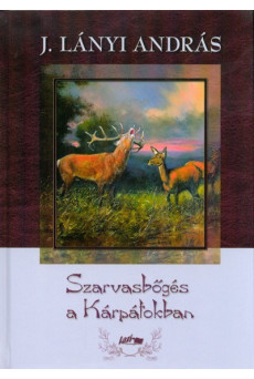 Szarvasbőgés a Kárpátokban