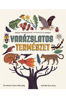 Varázslatos természet /Látványos rendszertani áttekintés az élővilágról