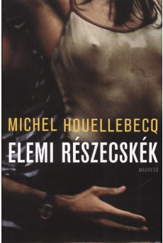 Elemi részecskék