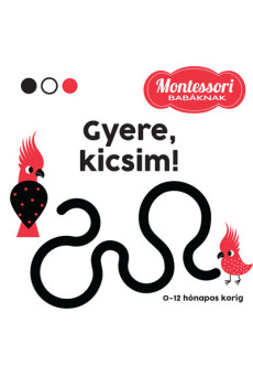 Gyere, kicsim! - Montessori babáknak