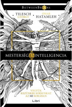 Mesterség és intelligencia - Vegyük kezünkbe sorsunkat az MI korában (e-könyv)