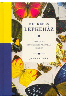 Kis képes lepkeház - Könyv és művészeti alkotás egyben