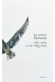 Már nem a mi völgyünk