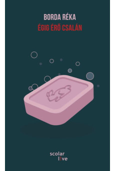 Égig érő csalán - Scolar L!ve