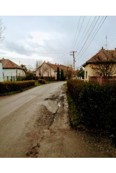 Új fiú költözött az utcába (e-könyv)