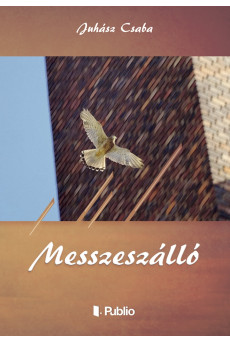 MESSZESZÁLLÓ (e-könyv)