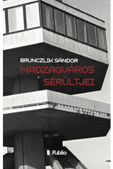 Madzagváros sérültjei (e-könyv)