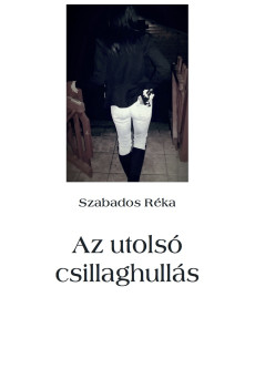 Az utolsó csillaghullás (e-könyv)