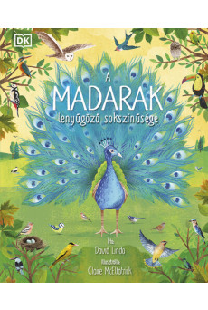 A madarak lenyűgöző sokszínűsége