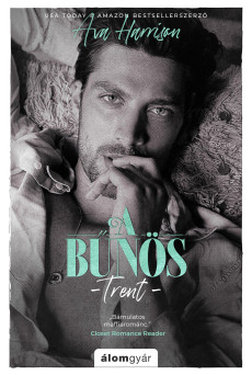 A bűnös  (e-könyv)