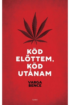 Köd előttem, köd utánam