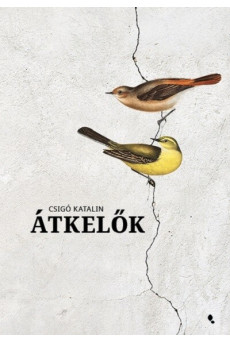 Átkelők