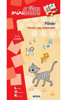 Főnév - Köznév vagy tulajdonnév - miniLÜK 2-4. osztály - miniLÜK