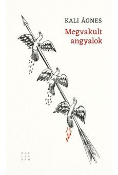Megvakult angyalok