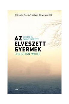 Az elveszett gyermek (e-könyv)