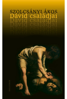 Dávid családjai
