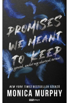 Promises We Meant to Keep - Az ígéretek, amiket meg akartunk tartani