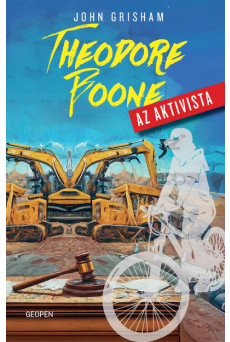 Theodore Boone - Az aktivista - A tizenéves ügyvédpalánta újra nyomoz