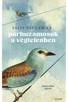 Párhuzamosok a végtelenben