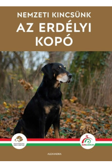Nemzeti kincsünk az erdélyi kopó