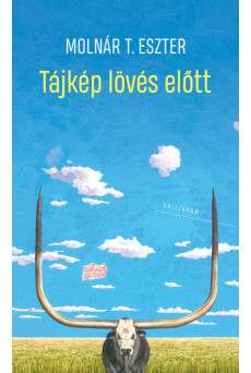 Tájkép lövés előtt