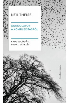 Gondolatok a komplexitásról - Kapcsolódás, tudat, létezés