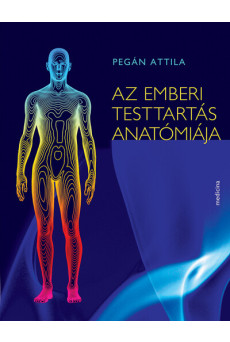 Az emberi testtartás anatómiája