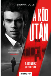 A köd után (e-könyv)