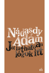 Jól láthatóan lógok itt