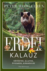 Erdei kalauz - Növények, állatok, évszakok, kirándulás