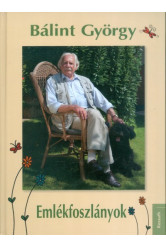 Emlékfoszlányok