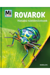 Rovarok - Hatlábú túlélőművészek