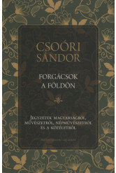 Forgácsok a földön - Jegyzetek magyarságról, művészetről, népművészetről és a közéletről