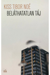 Beláthatatlan táj (e-könyv)