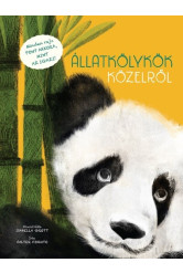 Állatkölykök közelről