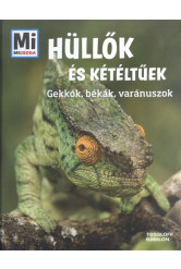 Hüllők és kétéltűek - Gekkók, békák, varánuszok /Mi Micsoda 16.