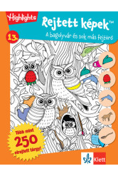 Rejtett képek 13. - Bagolyvár és sok más fejtörők