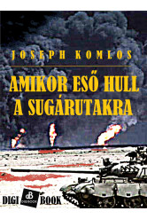 Amikor eső hull a sugárutakra (e-könyv)