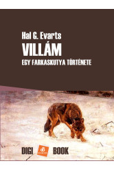 Villám (e-könyv)