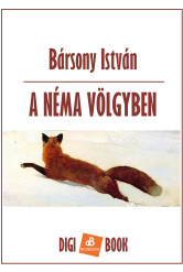 A néma völgyben (e-könyv)