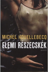 Elemi részecskék