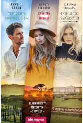 El nem mondott történetek (novella) (e-könyv)